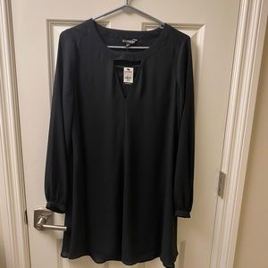 NWT Express Swing Dress